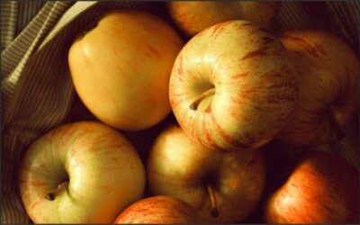 Warsztaty „Ciało, mój dom” – od 18.03.2026 r.